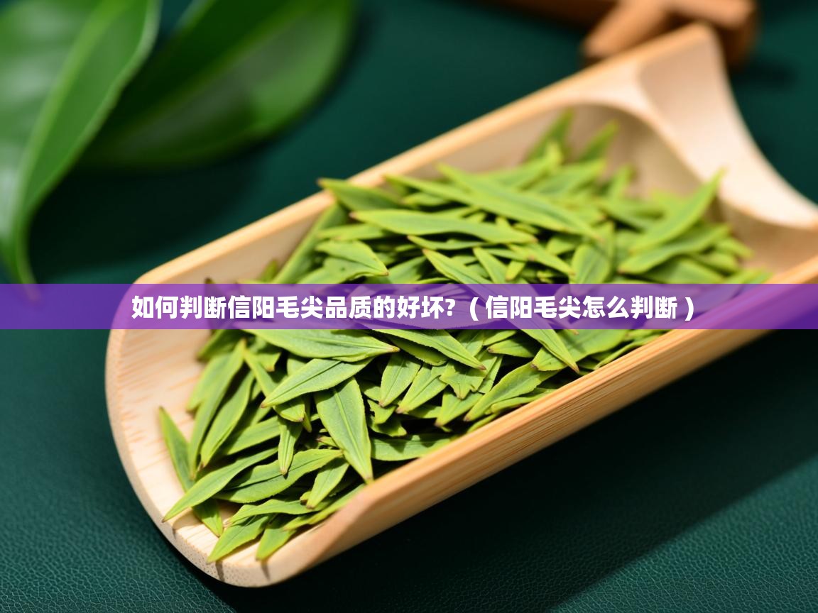  如何判断信阳毛尖品质的好坏?  ( 信阳毛尖怎么判断 )
