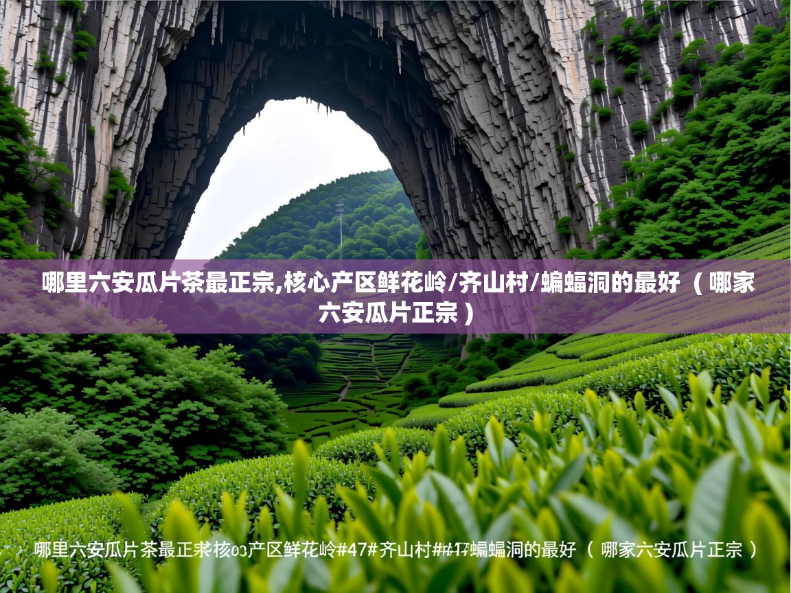  哪里六安瓜片茶最正宗,核心产区鲜花岭/齐山村/蝙蝠洞的最好  ( 哪家六安瓜片正宗 )