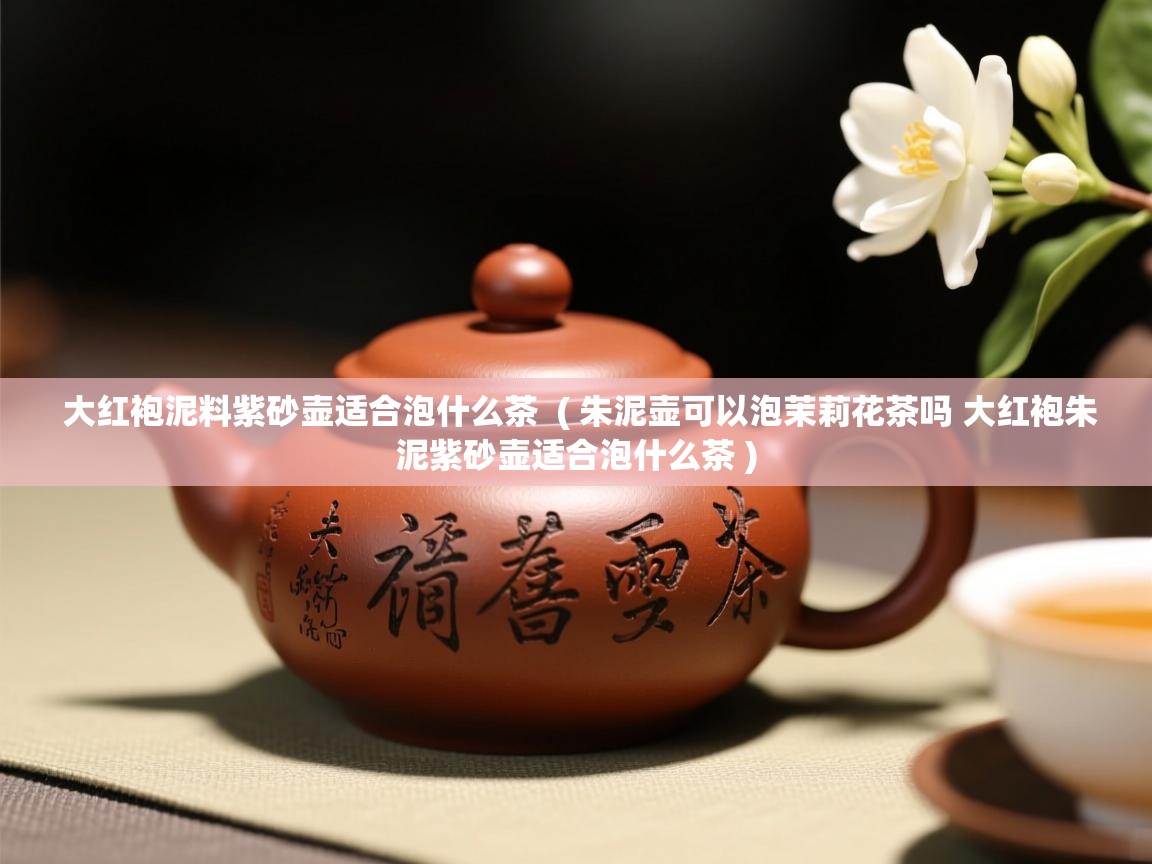  大红袍泥料紫砂壶适合泡什么茶  ( 朱泥壶可以泡茉莉花茶吗 大红袍朱泥紫砂壶适合泡什么茶 )