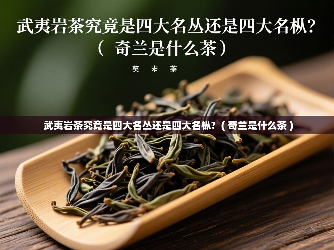  武夷岩茶究竟是四大名丛还是四大名枞?  ( 奇兰是什么茶 )
