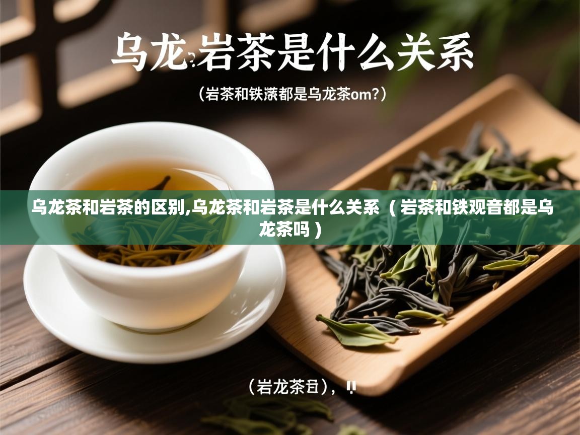  乌龙茶和岩茶的区别,乌龙茶和岩茶是什么关系  ( 岩茶和铁观音都是乌龙茶吗 )