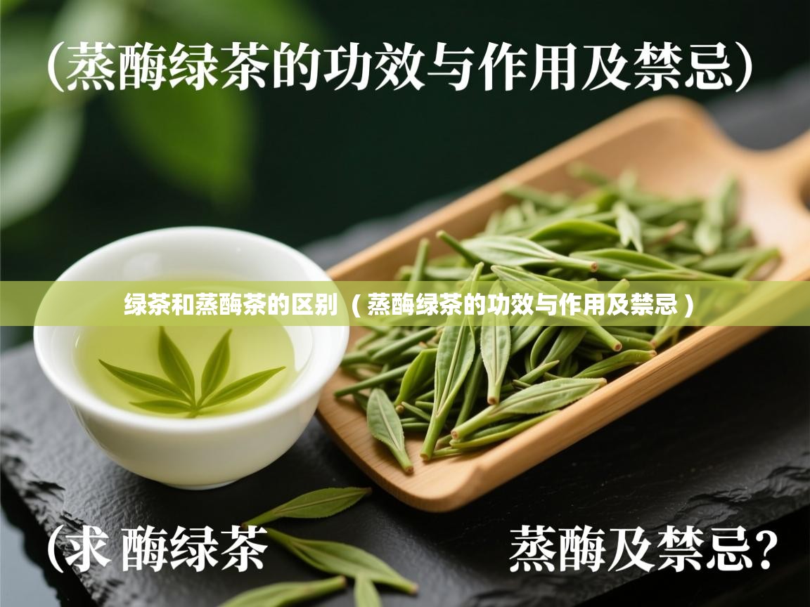  绿茶和蒸酶茶的区别  ( 蒸酶绿茶的功效与作用及禁忌 )