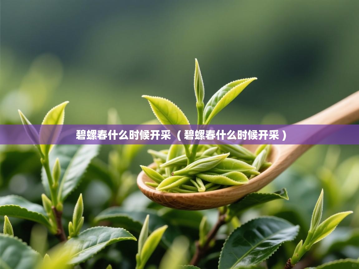 碧螺春什么时候开采 ( 碧螺春什么时候开采 ) 碧螺春什么时候开采 ( 碧螺春什么时候开采 )