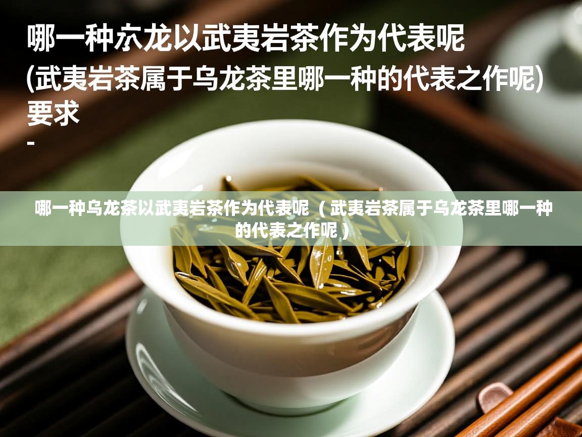  哪一种乌龙茶以武夷岩茶作为代表呢  ( 武夷岩茶属于乌龙茶里哪一种的代表之作呢 )