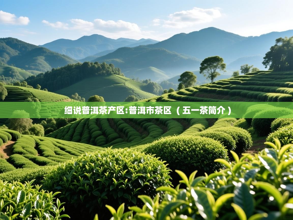  细说普洱茶产区:普洱市茶区  ( 五一茶简介 )