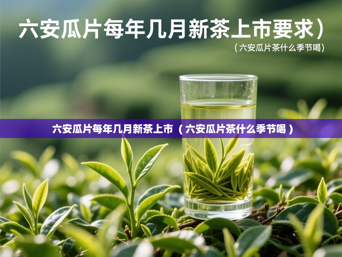  六安瓜片每年几月新茶上市  ( 六安瓜片茶什么季节喝 )