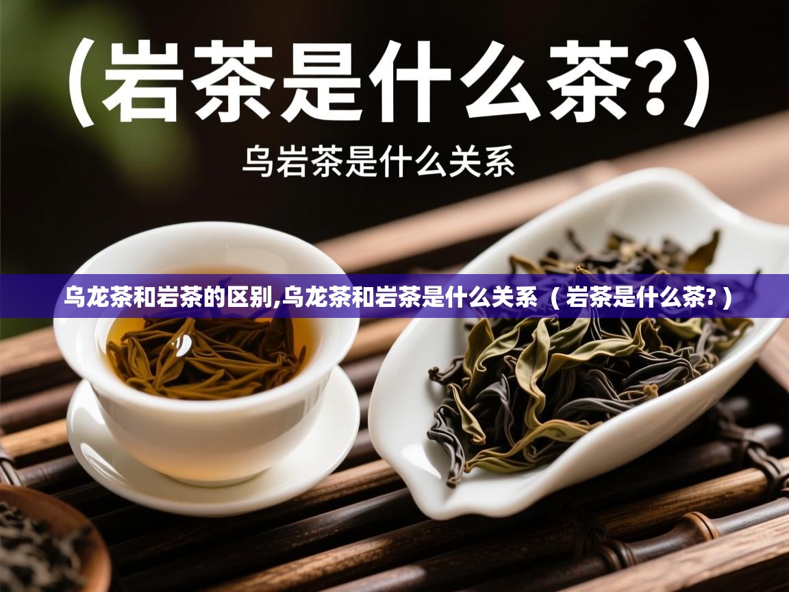  乌龙茶和岩茶的区别,乌龙茶和岩茶是什么关系  ( 岩茶是什么茶? )