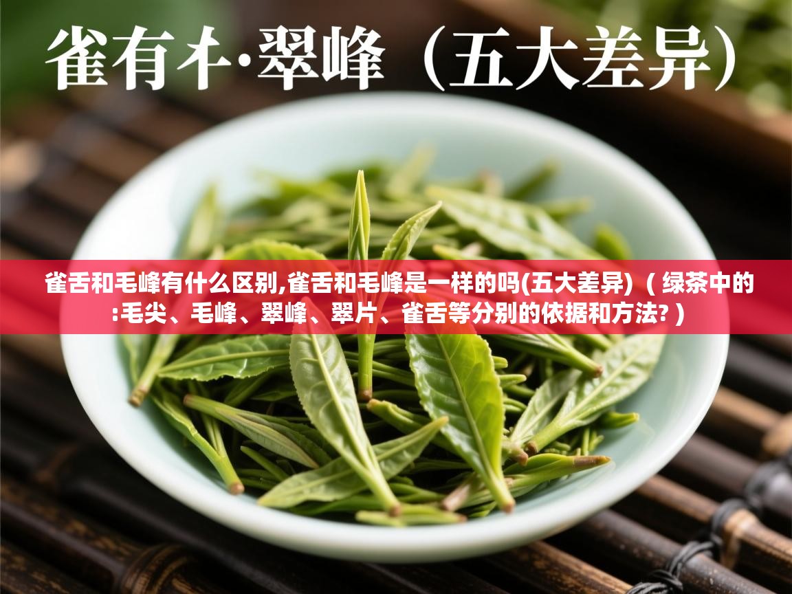 雀舌和毛峰有什么区别,雀舌和毛峰是一样的吗(五大差异) ( 绿茶中的:毛尖、毛峰、翠峰、翠片、雀舌等分别的依据和方法? ) 雀舌和毛峰有什么区别,雀舌和毛峰是一样的吗(五大差异) ( 绿茶中的:毛尖、毛峰、翠峰、翠片、雀舌等分别的依据和方法? )