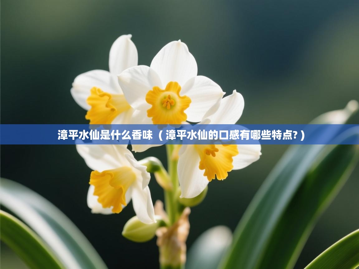  漳平水仙是什么香味  ( 漳平水仙的口感有哪些特点? )