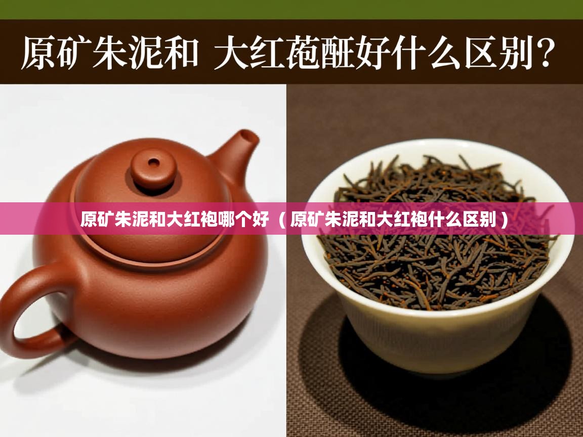 原矿朱泥和大红袍哪个好 ( 原矿朱泥和大红袍什么区别 ) 原矿朱泥和大红袍哪个好 ( 原矿朱泥和大红袍什么区别 )