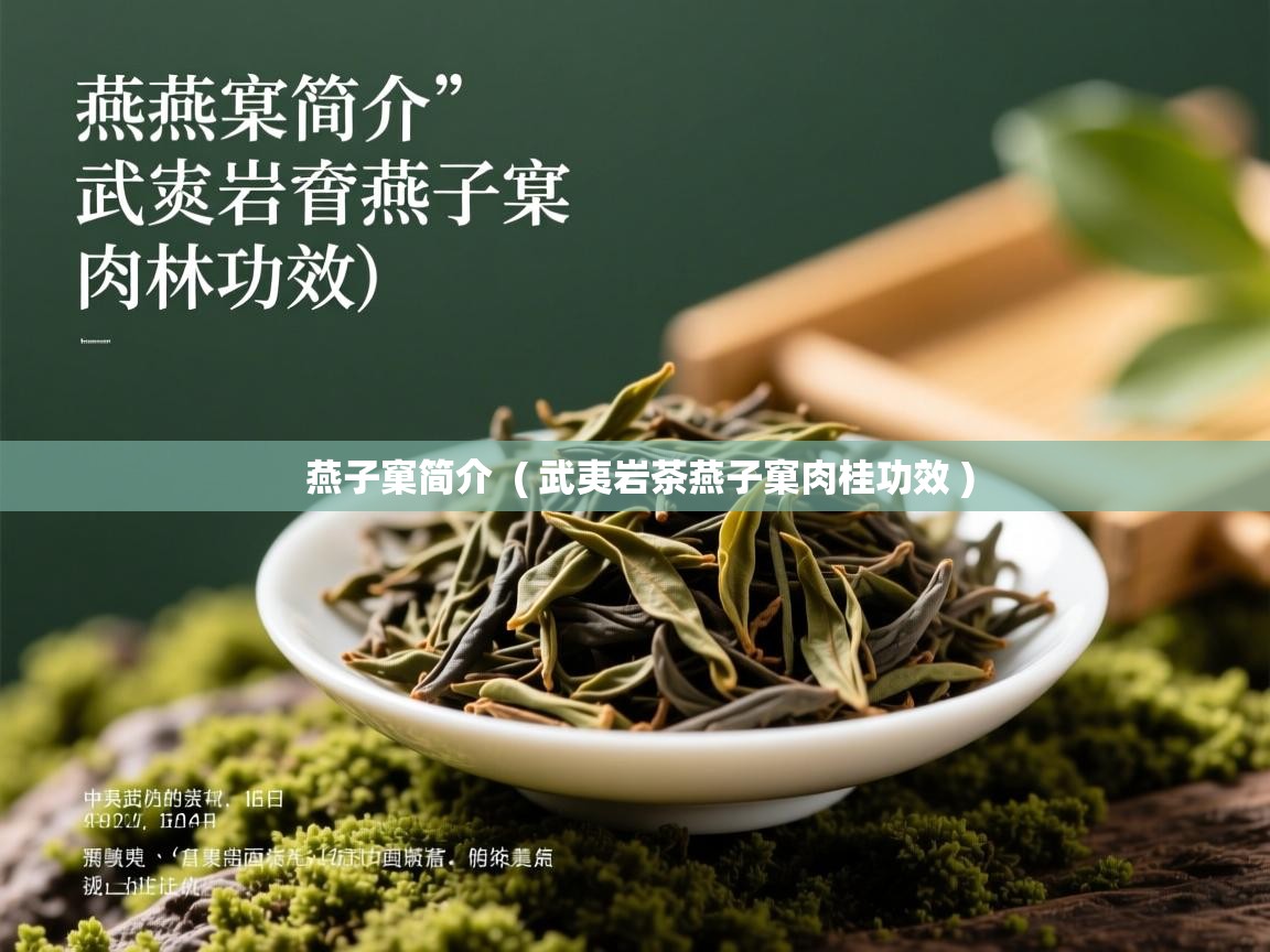  燕子窠简介  ( 武夷岩茶燕子窠肉桂功效 )