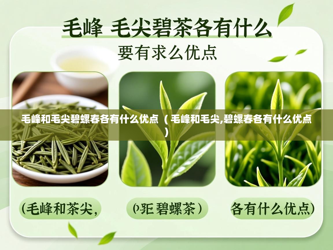 毛峰和毛尖碧螺春各有什么优点 ( 毛峰和毛尖,碧螺春各有什么优点 ) 毛峰和毛尖碧螺春各有什么优点 ( 毛峰和毛尖,碧螺春各有什么优点 )