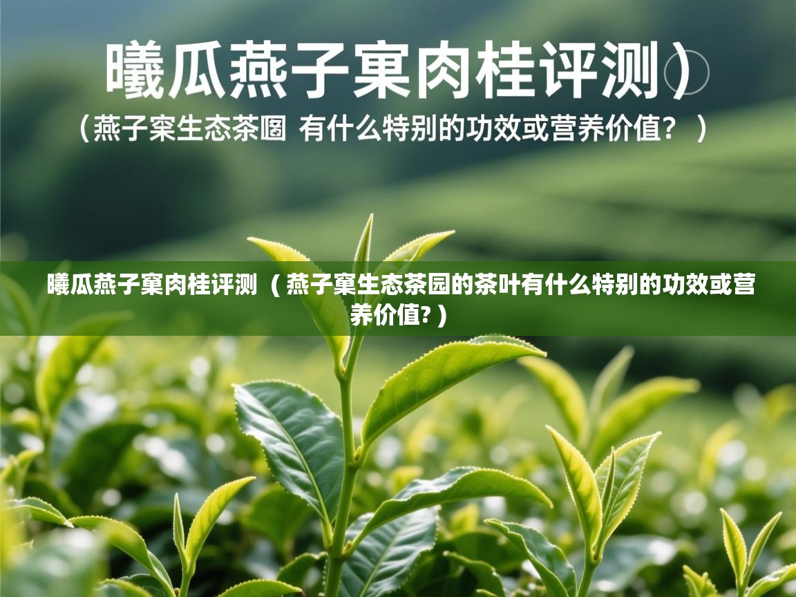 曦瓜燕子窠肉桂评测 ( 燕子窠生态茶园的茶叶有什么特别的功效或营养价值? ) 曦瓜燕子窠肉桂评测 ( 燕子窠生态茶园的茶叶有什么特别的功效或营养价值? )