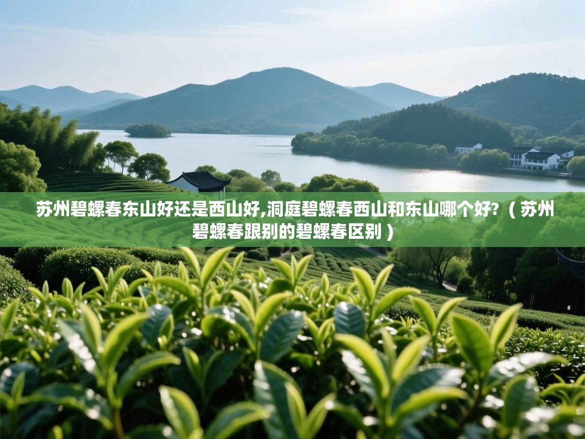苏州碧螺春东山好还是西山好,洞庭碧螺春西山和东山哪个好? ( 苏州碧螺春跟别的碧螺春区别 ) 苏州碧螺春东山好还是西山好,洞庭碧螺春西山和东山哪个好? ( 苏州碧螺春跟别的碧螺春区别 )
