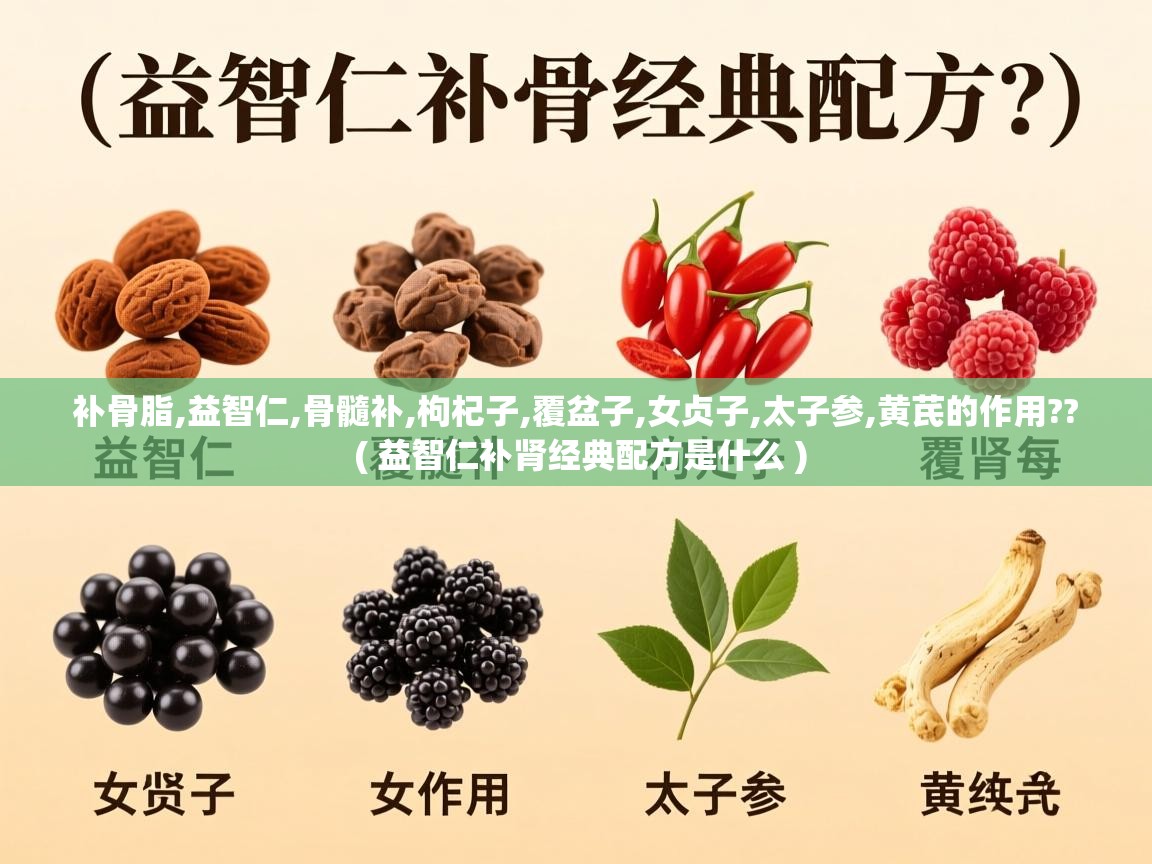 补骨脂,益智仁,骨髓补,枸杞子,覆盆子,女贞子,太子参,黄芪的作用?? ( 益智仁补肾经典配方是什么 ) 补骨脂,益智仁,骨髓补,枸杞子,覆盆子,女贞子,太子参,黄芪的作用?? ( 益智仁补肾经典配方是什么 )