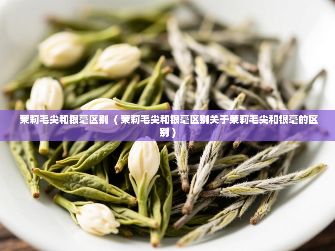  茉莉毛尖和银毫区别  ( 茉莉毛尖和银毫区别关于茉莉毛尖和银毫的区别 )