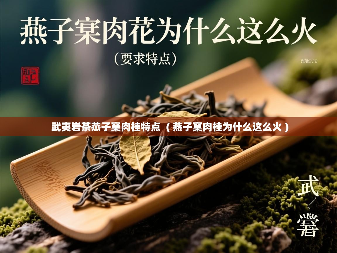 武夷岩茶燕子窠肉桂特点 ( 燕子窠肉桂为什么这么火 ) 武夷岩茶燕子窠肉桂特点 ( 燕子窠肉桂为什么这么火 )