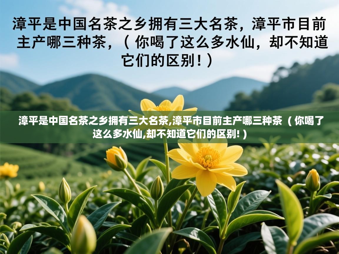  漳平是中国名茶之乡拥有三大名茶,漳平市目前主产哪三种茶  ( 你喝了这么多水仙,却不知道它们的区别! )