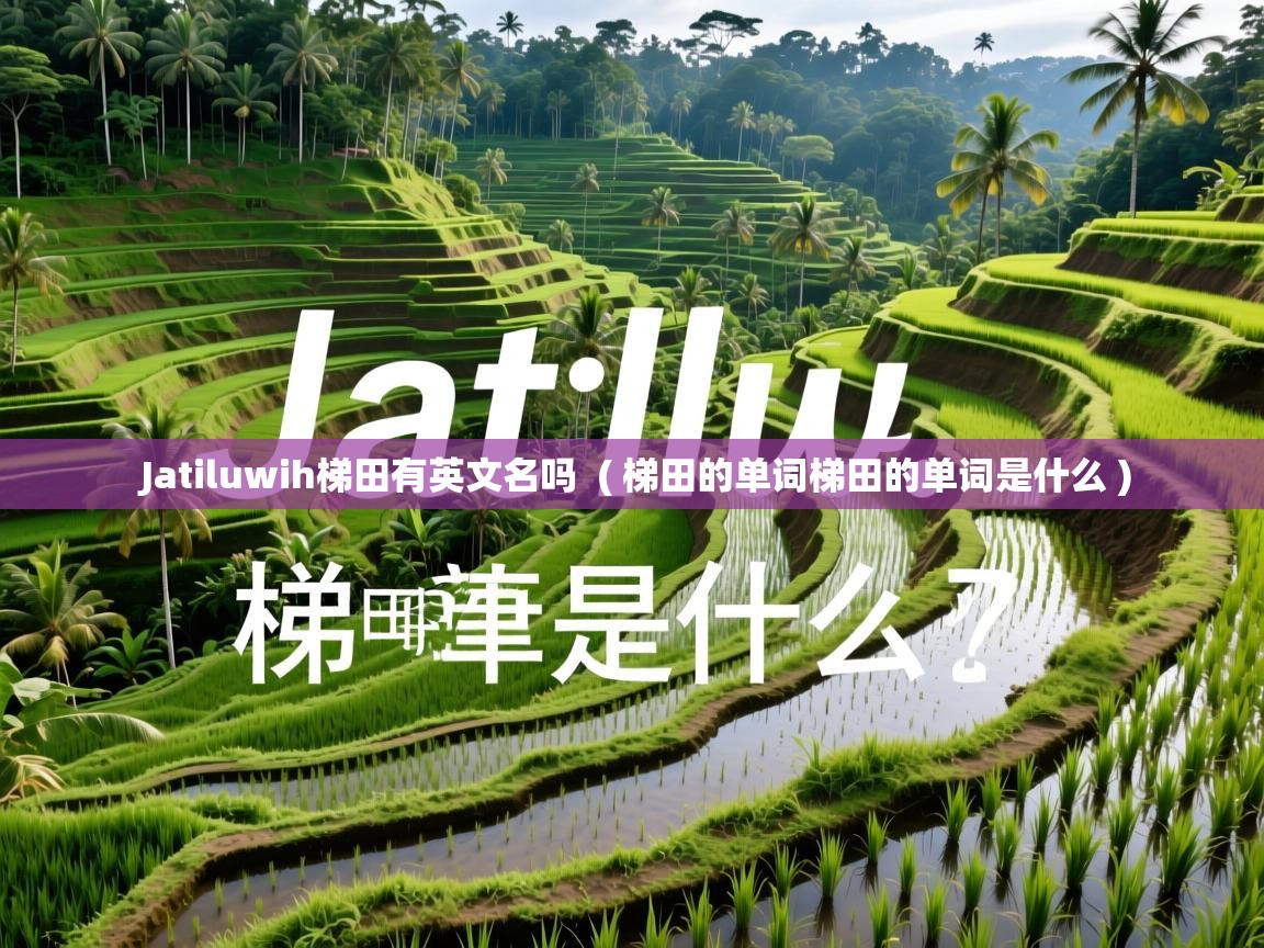 Jatiluwih梯田有英文名吗  ( 梯田的单词梯田的单词是什么 )