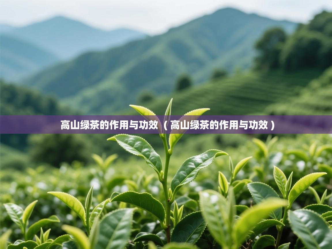 高山绿茶的作用与功效 ( 高山绿茶的作用与功效 ) 高山绿茶的作用与功效 ( 高山绿茶的作用与功效 )