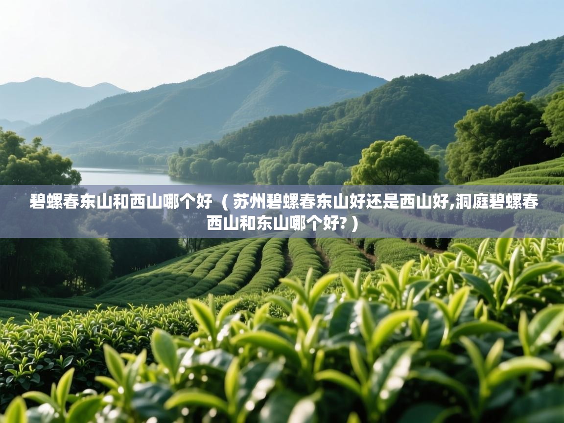 碧螺春东山和西山哪个好 ( 苏州碧螺春东山好还是西山好,洞庭碧螺春西山和东山哪个好? ) 碧螺春东山和西山哪个好 ( 苏州碧螺春东山好还是西山好,洞庭碧螺春西山和东山哪个好? )