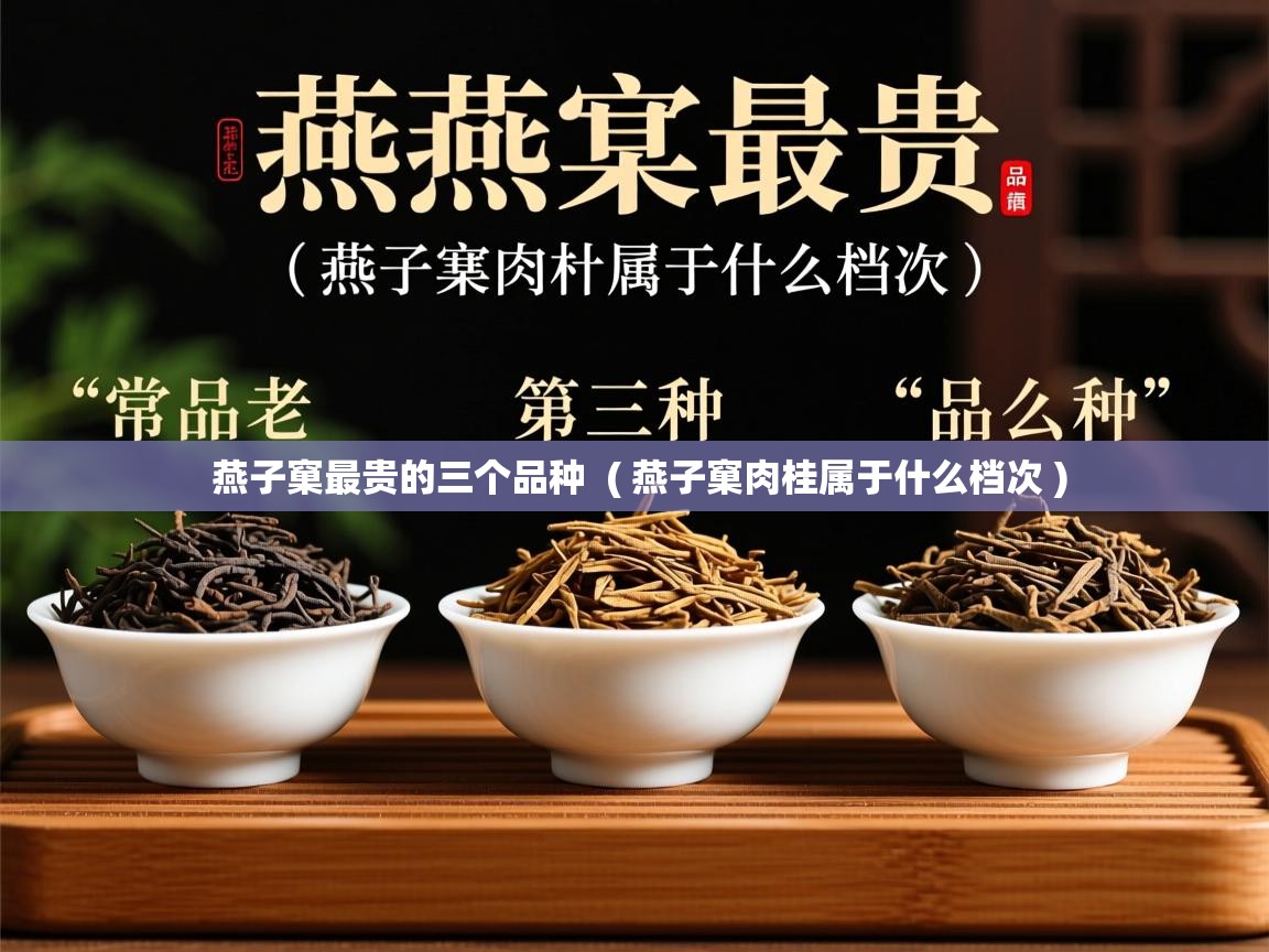 燕子窠最贵的三个品种 ( 燕子窠肉桂属于什么档次 ) 燕子窠最贵的三个品种 ( 燕子窠肉桂属于什么档次 )