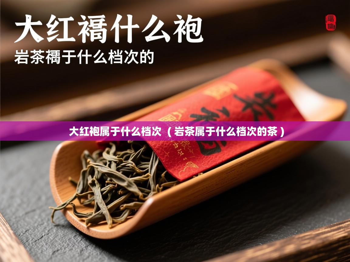  大红袍属于什么档次  ( 岩茶属于什么档次的茶 )