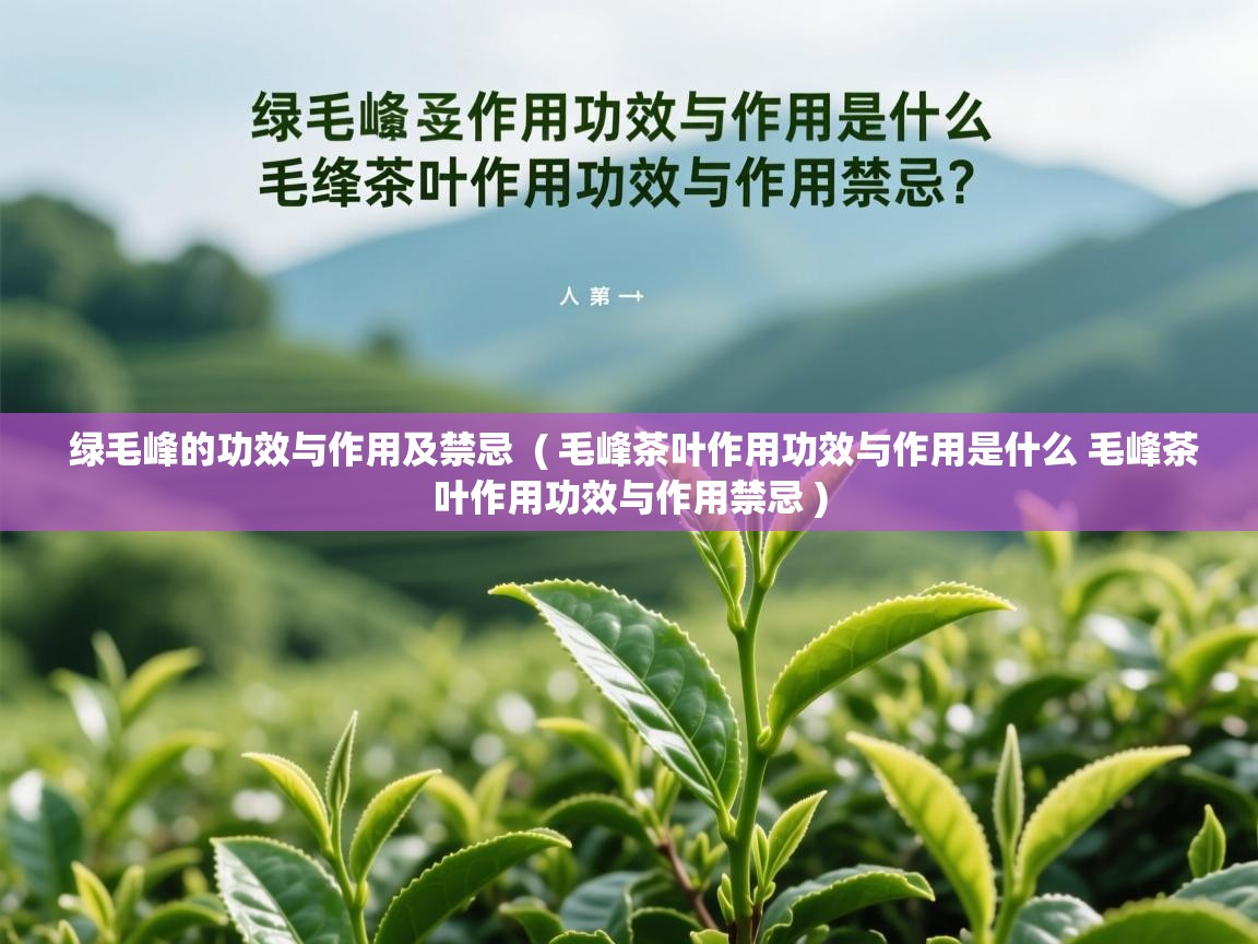 绿毛峰的功效与作用及禁忌 ( 毛峰茶叶作用功效与作用是什么 毛峰茶叶作用功效与作用禁忌 ) 绿毛峰的功效与作用及禁忌 ( 毛峰茶叶作用功效与作用是什么 毛峰茶叶作用功效与作用禁忌 )