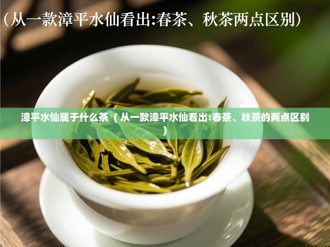 漳平水仙属于什么茶 ( 从一款漳平水仙看出:春茶、秋茶的两点区别 ) 漳平水仙属于什么茶 ( 从一款漳平水仙看出:春茶、秋茶的两点区别 )