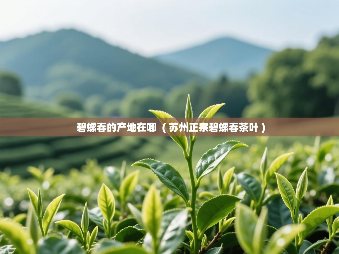  碧螺春的产地在哪  ( 苏州正宗碧螺春茶叶 )