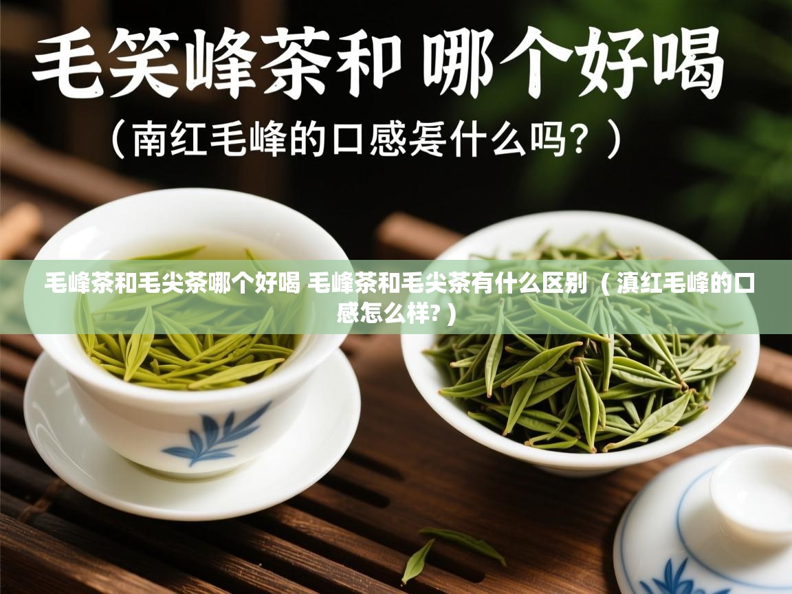 毛峰茶和毛尖茶哪个好喝 毛峰茶和毛尖茶有什么区别 ( 滇红毛峰的口感怎么样? ) 毛峰茶和毛尖茶哪个好喝 毛峰茶和毛尖茶有什么区别 ( 滇红毛峰的口感怎么样? )