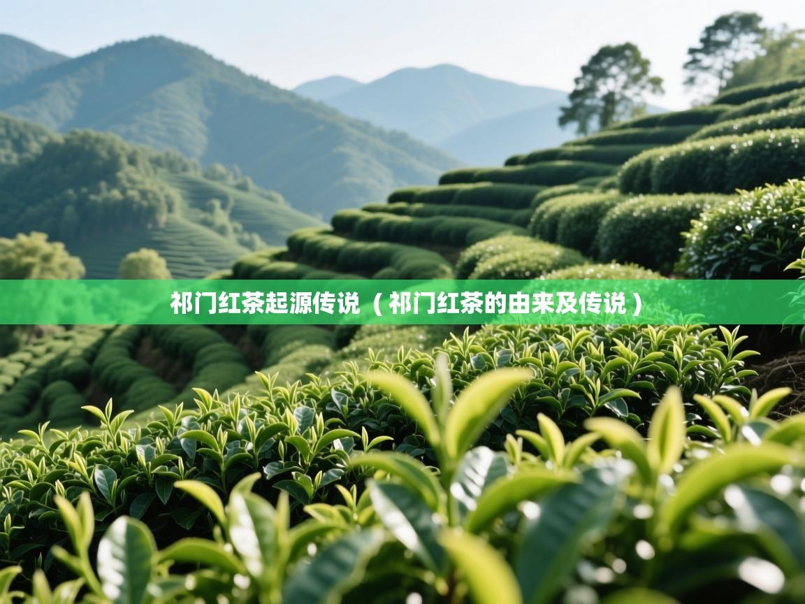 祁门红茶起源传说 ( 祁门红茶的由来及传说 ) 祁门红茶起源传说 ( 祁门红茶的由来及传说 )
