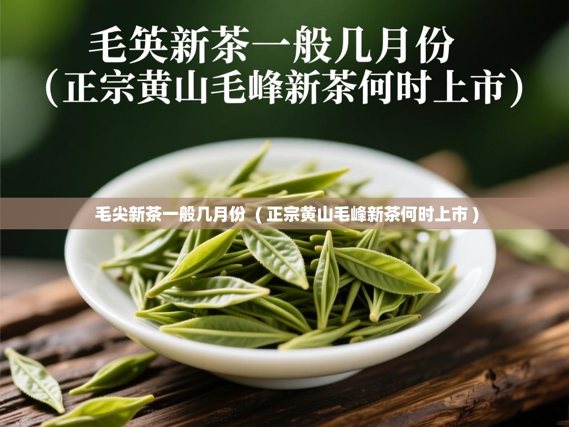  毛尖新茶一般几月份  ( 正宗黄山毛峰新茶何时上市 )