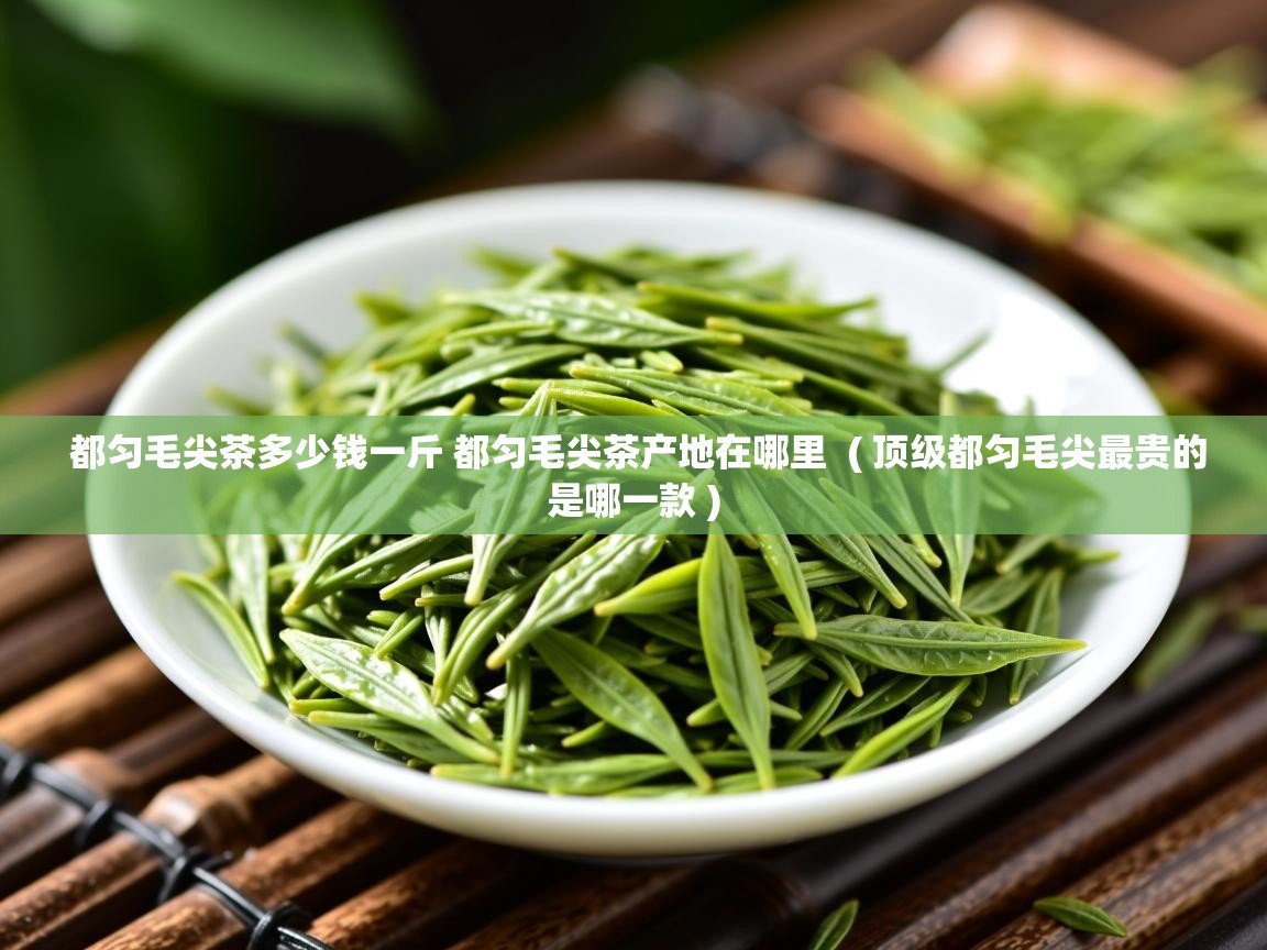  都匀毛尖茶多少钱一斤 都匀毛尖茶产地在哪里  ( 顶级都匀毛尖最贵的是哪一款 )