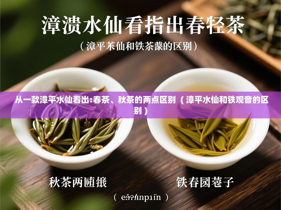  从一款漳平水仙看出:春茶、秋茶的两点区别  ( 漳平水仙和铁观音的区别 )