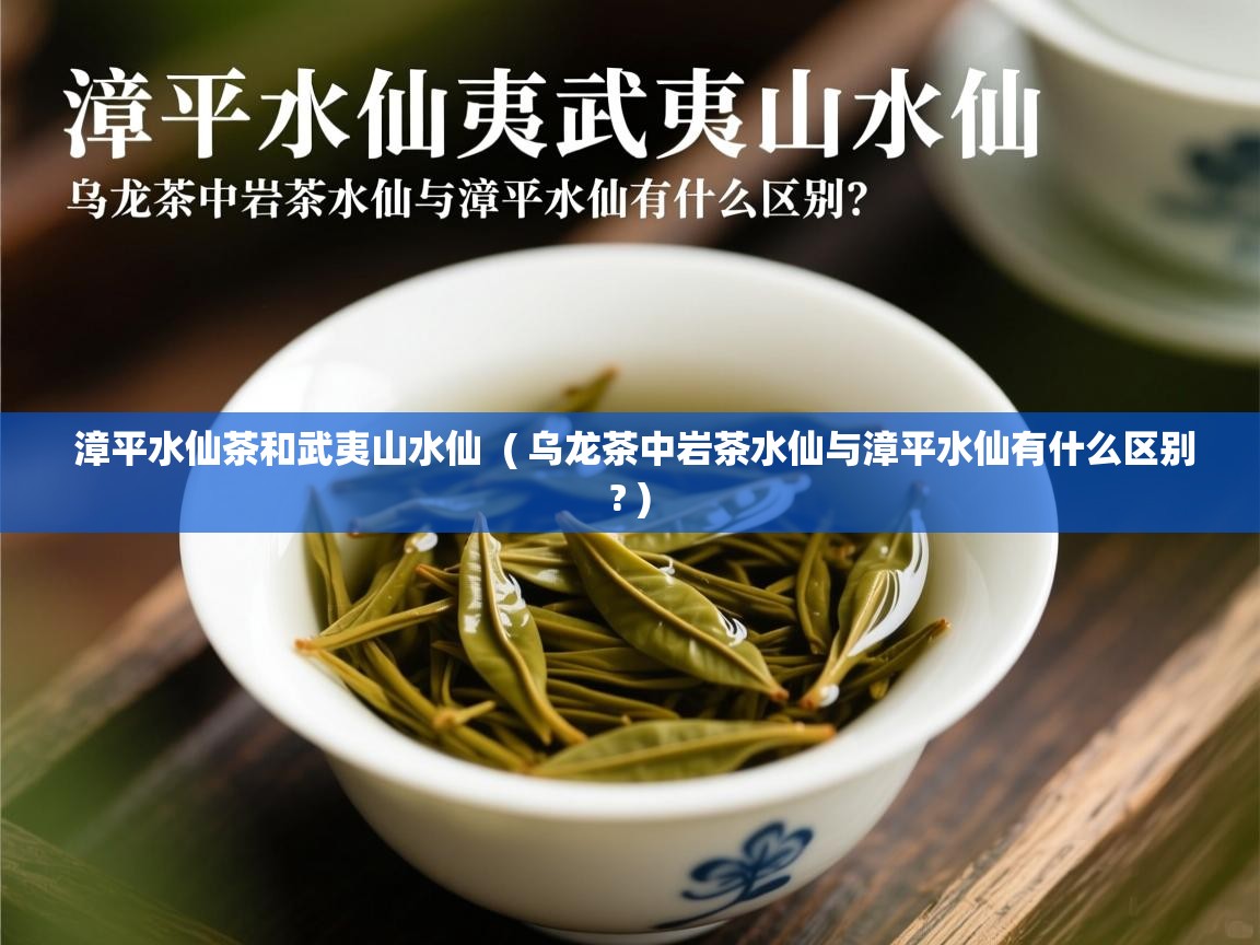  漳平水仙茶和武夷山水仙  ( 乌龙茶中岩茶水仙与漳平水仙有什么区别? )