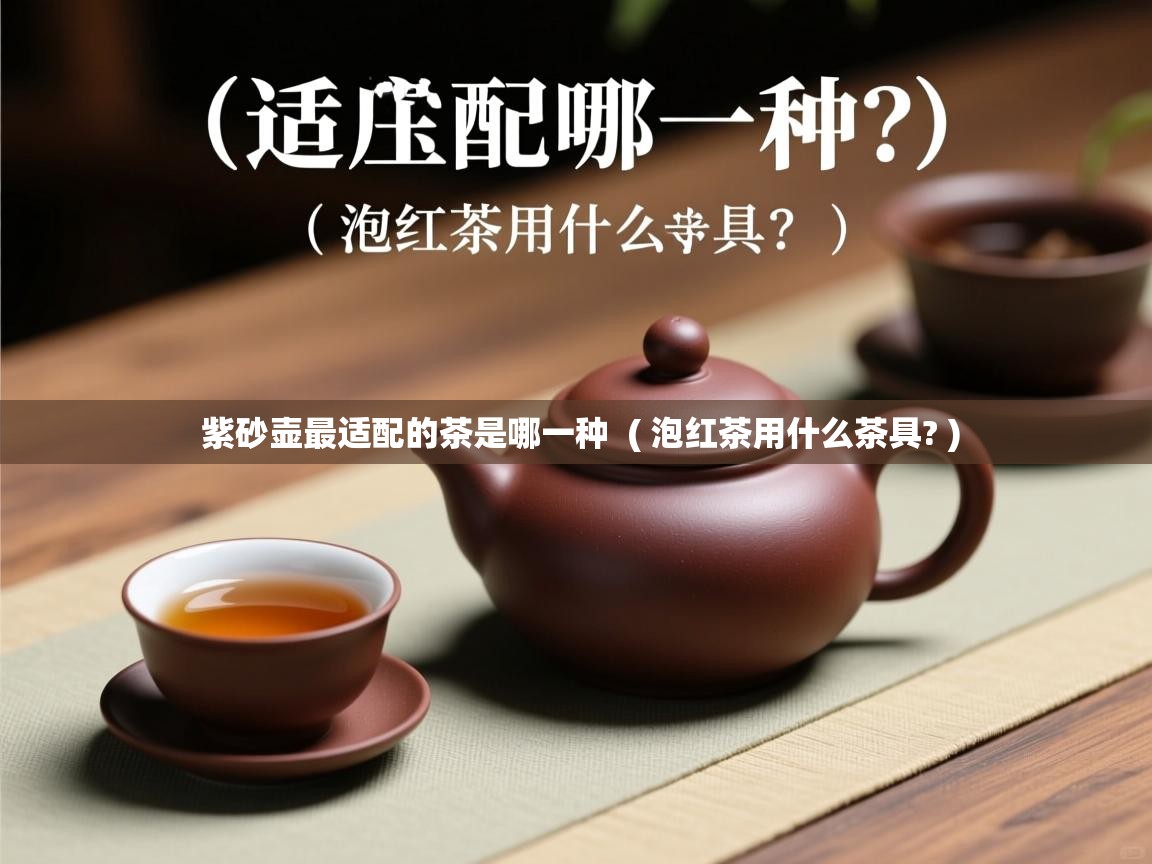  紫砂壶最适配的茶是哪一种  ( 泡红茶用什么茶具? )