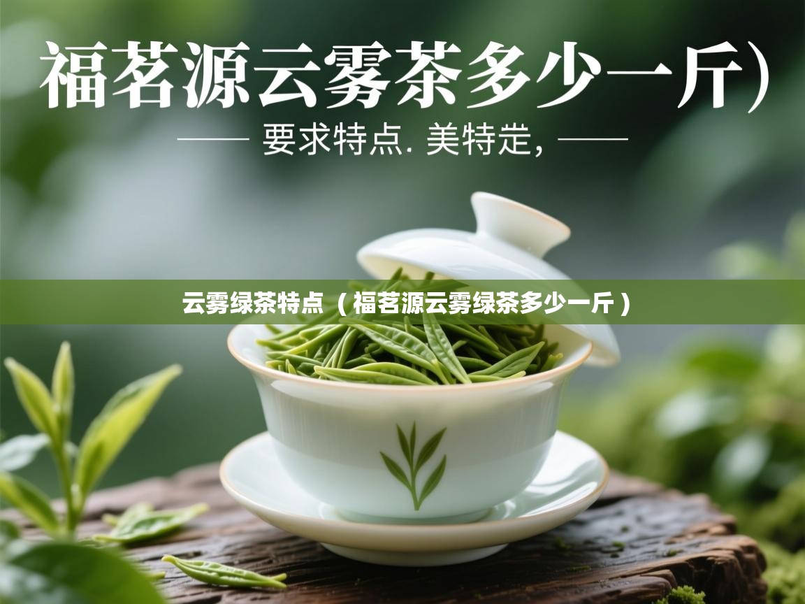  云雾绿茶特点  ( 福茗源云雾绿茶多少一斤 )