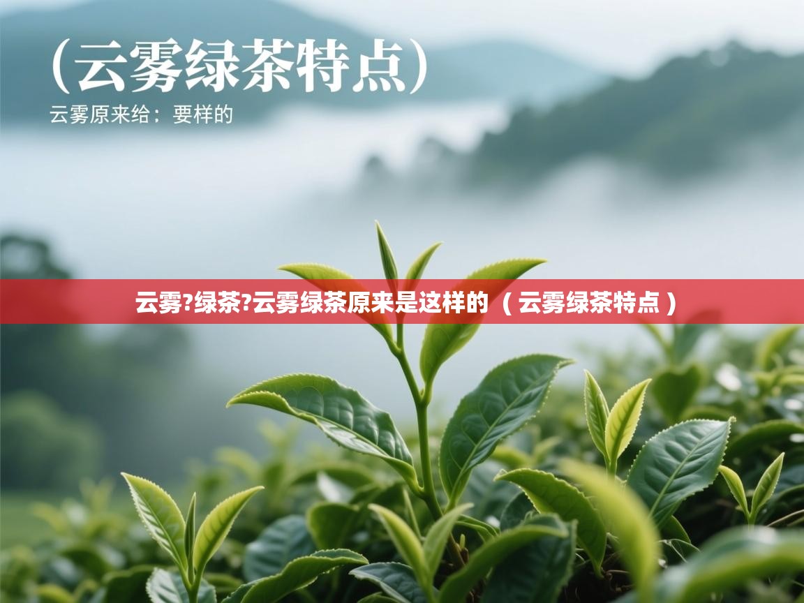  云雾?绿茶?云雾绿茶原来是这样的  ( 云雾绿茶特点 )