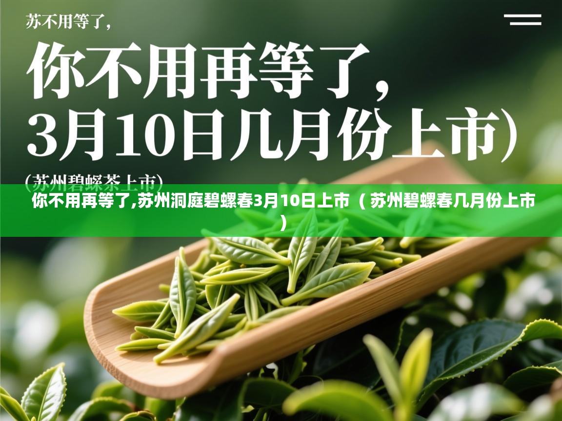 你不用再等了,苏州洞庭碧螺春3月10日上市 ( 苏州碧螺春几月份上市 ) 你不用再等了,苏州洞庭碧螺春3月10日上市 ( 苏州碧螺春几月份上市 )