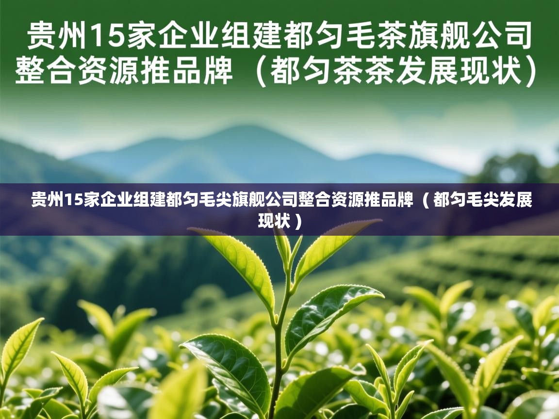 贵州15家企业组建都匀毛尖旗舰公司整合资源推品牌 ( 都匀毛尖发展现状 ) 贵州15家企业组建都匀毛尖旗舰公司整合资源推品牌 ( 都匀毛尖发展现状 )
