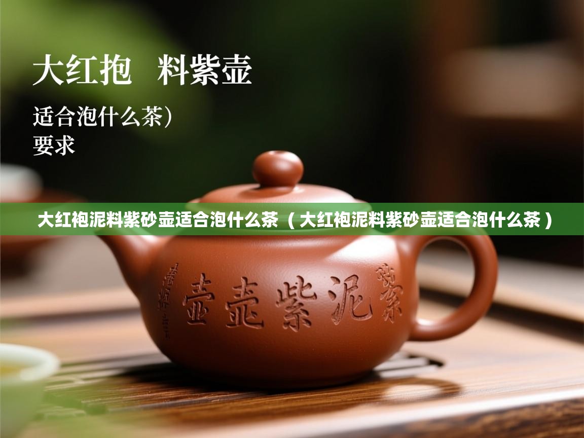 大红袍泥料紫砂壶适合泡什么茶 ( 大红袍泥料紫砂壶适合泡什么茶 ) 大红袍泥料紫砂壶适合泡什么茶 ( 大红袍泥料紫砂壶适合泡什么茶 )