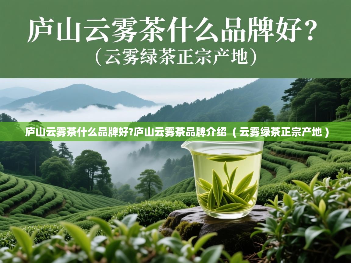  庐山云雾茶什么品牌好?庐山云雾茶品牌介绍  ( 云雾绿茶正宗产地 )