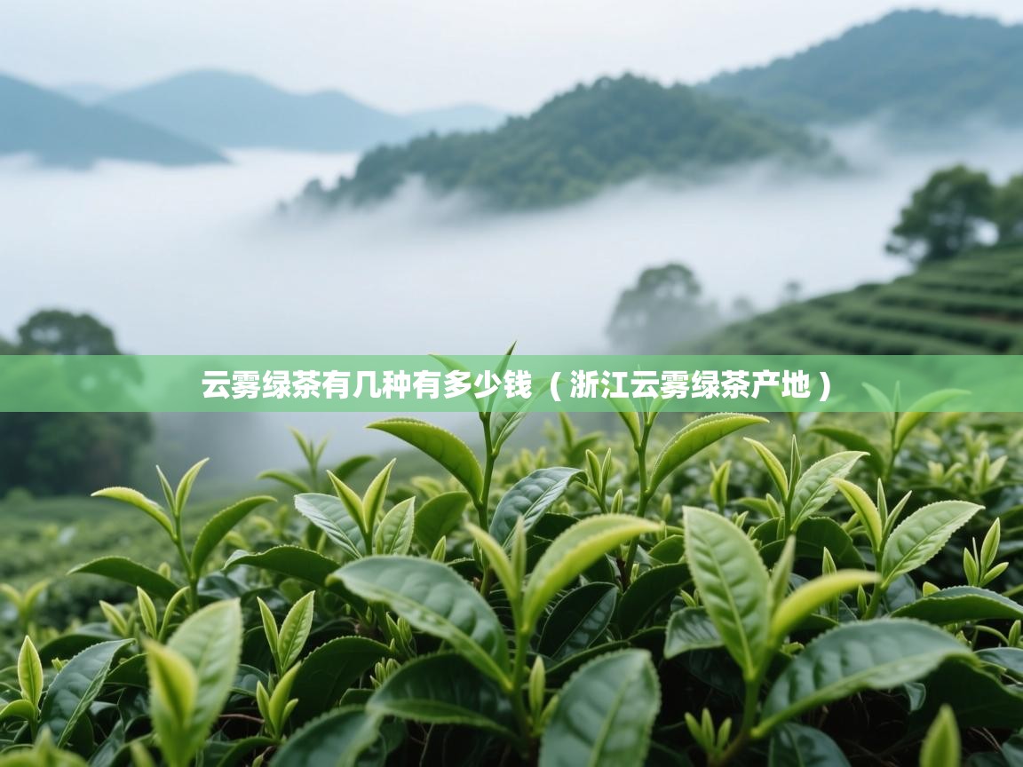  云雾绿茶有几种有多少钱  ( 浙江云雾绿茶产地 )