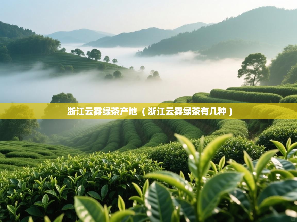  浙江云雾绿茶产地  ( 浙江云雾绿茶有几种 )