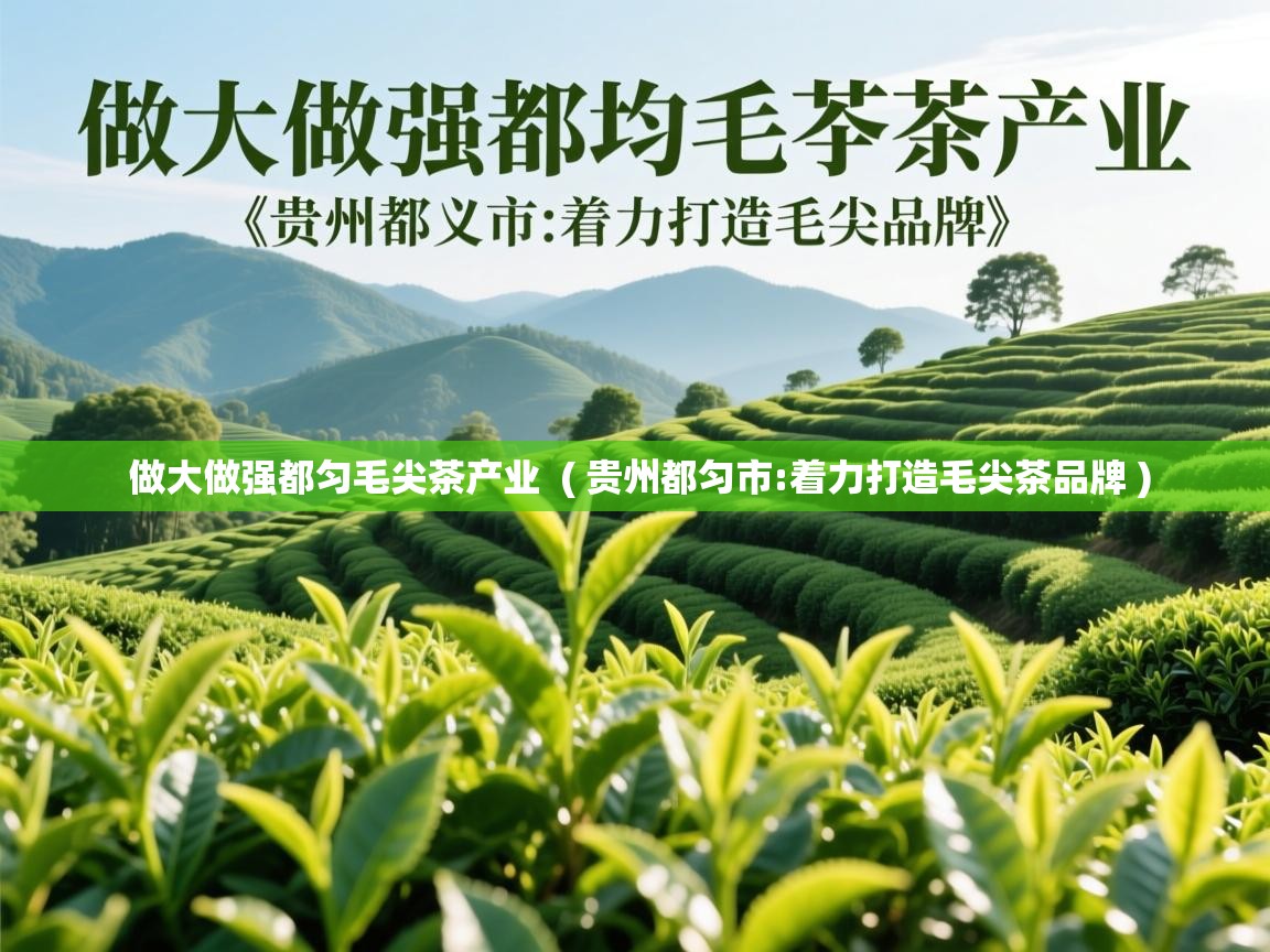 做大做强都匀毛尖茶产业 ( 贵州都匀市:着力打造毛尖茶品牌 ) 做大做强都匀毛尖茶产业 ( 贵州都匀市:着力打造毛尖茶品牌 )