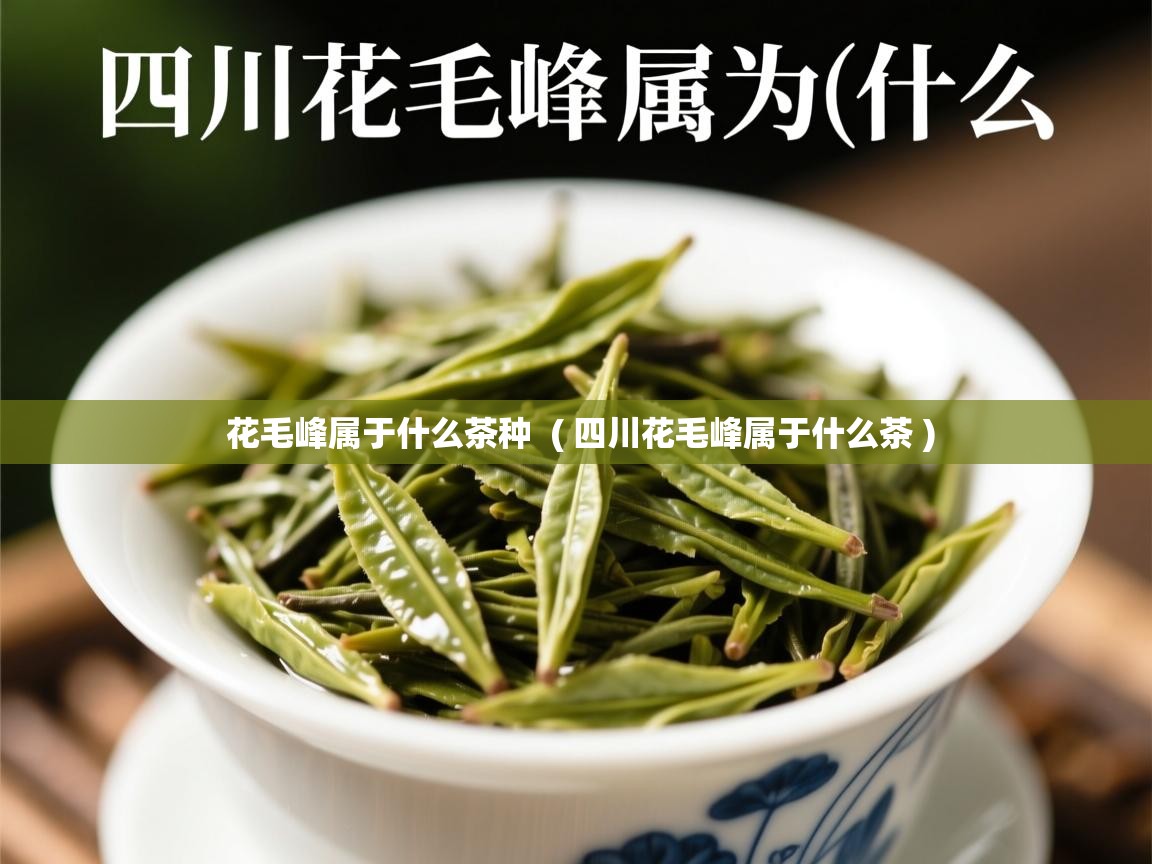 花毛峰属于什么茶种 ( 四川花毛峰属于什么茶 ) 花毛峰属于什么茶种 ( 四川花毛峰属于什么茶 )