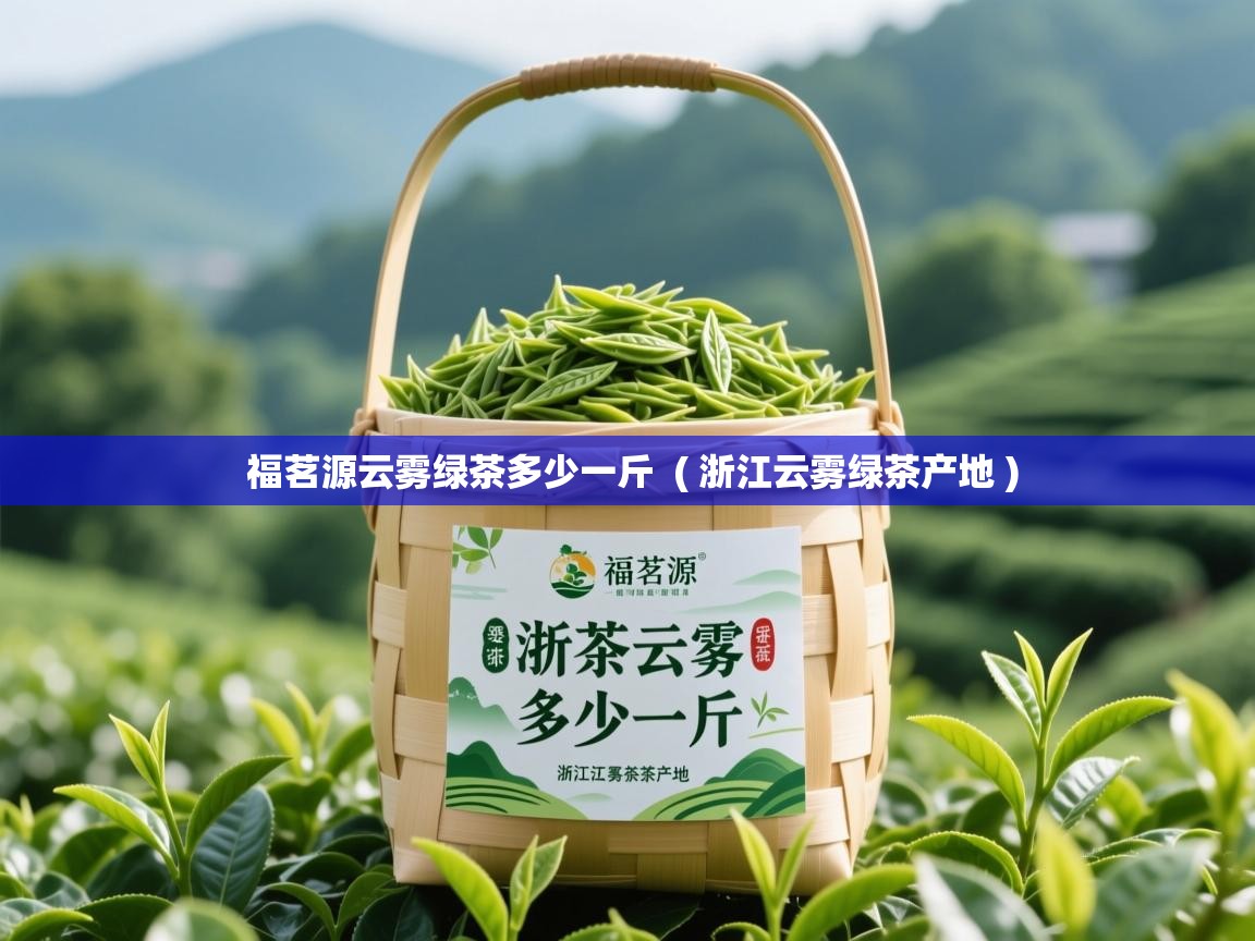  福茗源云雾绿茶多少一斤  ( 浙江云雾绿茶产地 )