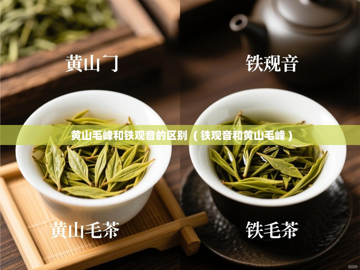  黄山毛峰和铁观音的区别  ( 铁观音和黄山毛峰 )