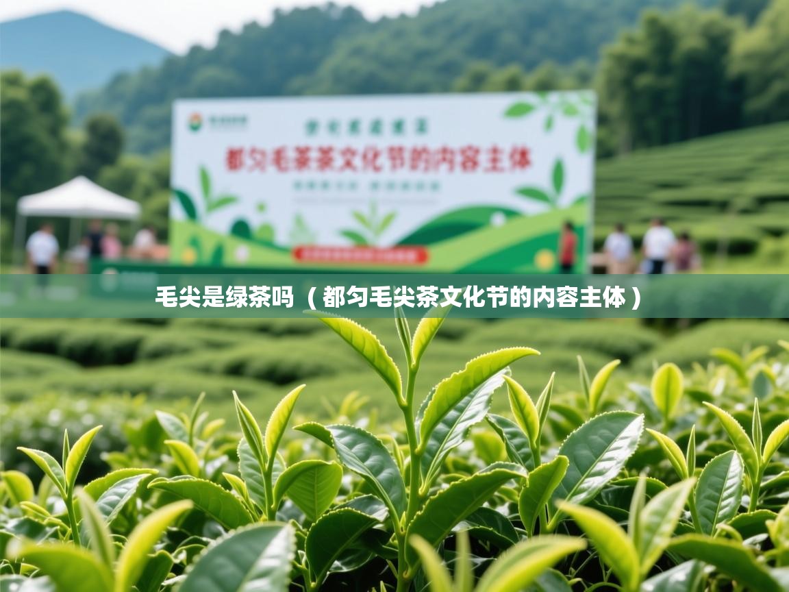 毛尖是绿茶吗  ( 都匀毛尖茶文化节的内容主体 )